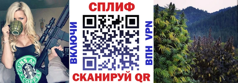 Что такое Архангельск СК Псилоцибиновые грибы ГАШ Конопля Кокаин Амфетамин