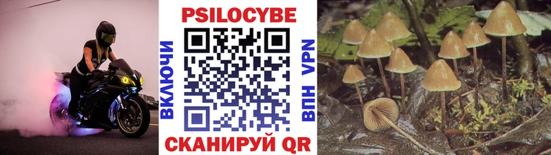 закладки  ОМГ ОМГ ссылка  Галлюциногенные грибы прущие грибы  Архангельск 