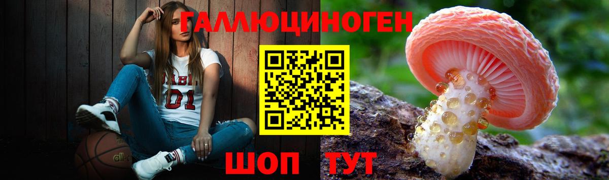 где купить наркотик  Вход с VPN  Архангельск  Галлюциногенные грибы прущие грибы 